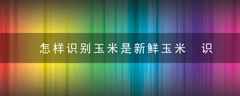 怎样识别玉米是新鲜玉米 识别玉米是新鲜玉米的方法